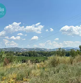 Foto annuncio 21