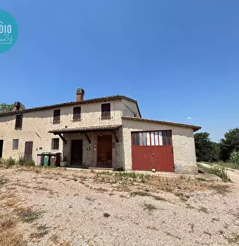 Foto annuncio 24