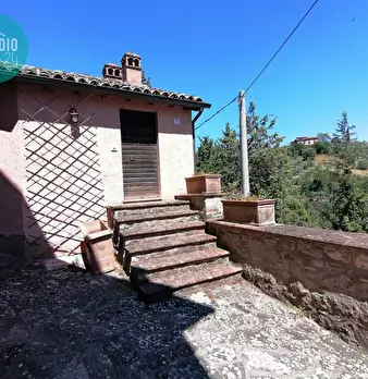 Foto annuncio 5
