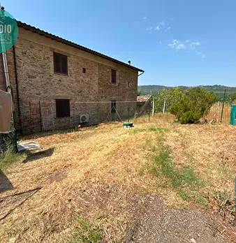 Foto annuncio 7