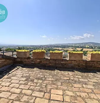 Foto annuncio 66
