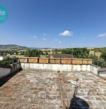 Foto annuncio 71