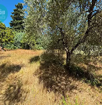 Foto annuncio 45