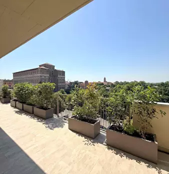 Foto annuncio 12