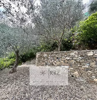 Foto annuncio 24