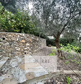 Foto annuncio 28