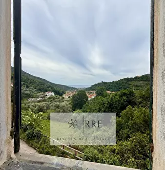 Foto annuncio 40