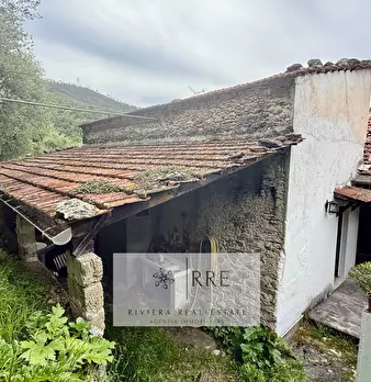 Foto annuncio 50