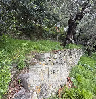Foto annuncio 52