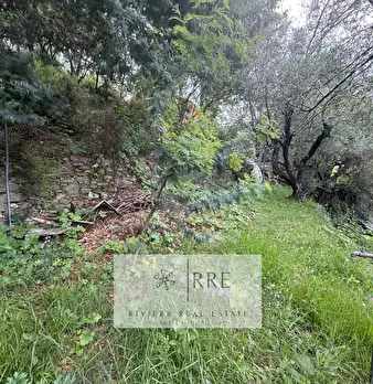 Foto annuncio 54