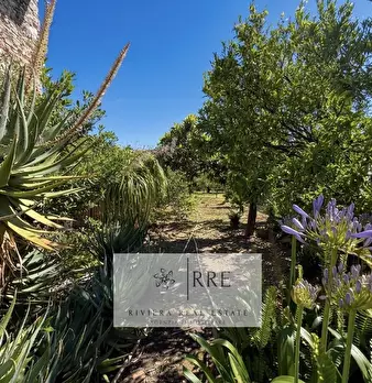 Foto annuncio 31