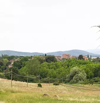 Foto annuncio 43