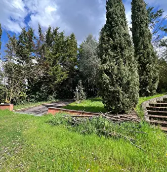 Foto annuncio 60