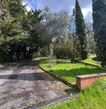 Foto annuncio 55