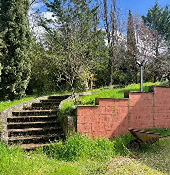 Foto annuncio 59