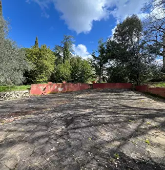 Foto annuncio 61