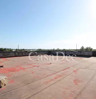 Foto annuncio 24