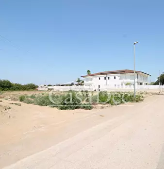 Foto annuncio 9