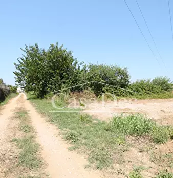 Foto annuncio 12