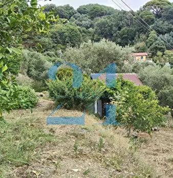 Foto annuncio 34
