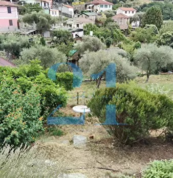Foto annuncio 30