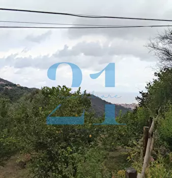 Foto annuncio 35