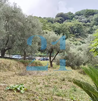 Foto annuncio 37