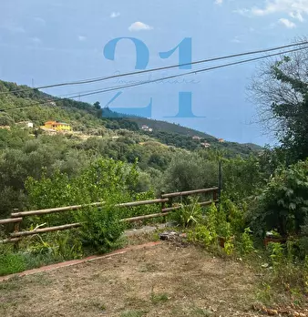 Foto annuncio 29