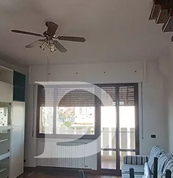 Foto annuncio 32