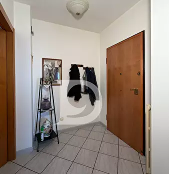Foto annuncio 46