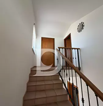 Foto annuncio 49