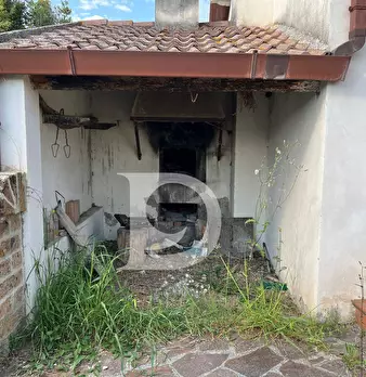 Foto annuncio 42