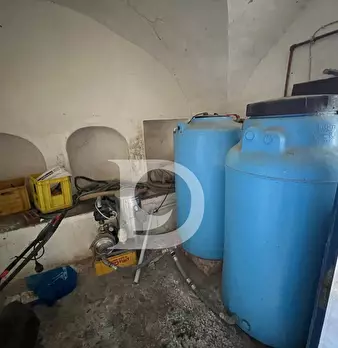 Foto annuncio 44