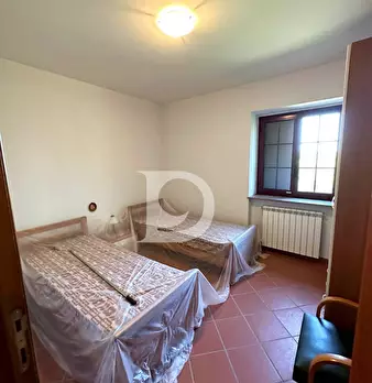 Foto annuncio 19