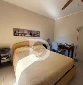 Foto annuncio 82