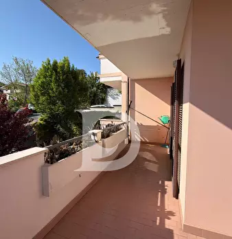 Foto annuncio 44