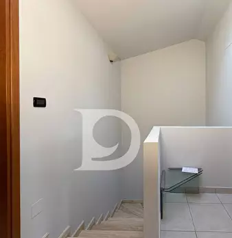 Foto annuncio 53