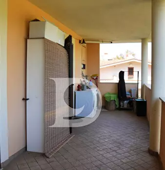 Foto annuncio 24