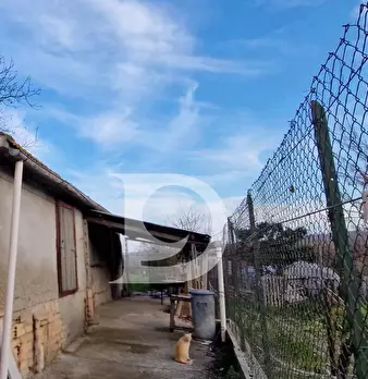Foto annuncio 12