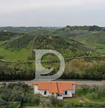 Foto annuncio 5