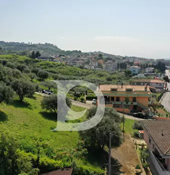 Foto annuncio 8