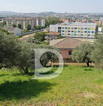 Foto annuncio 11