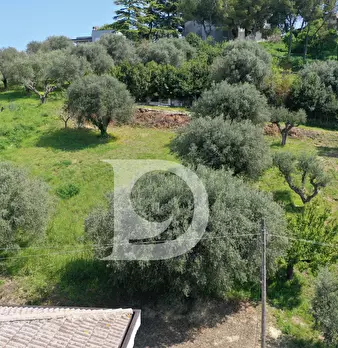 Foto annuncio 12