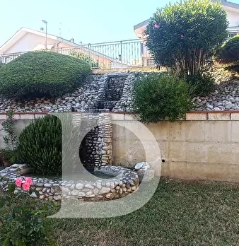 Foto annuncio 36