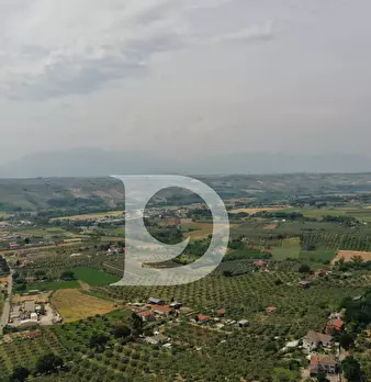 Foto annuncio 11
