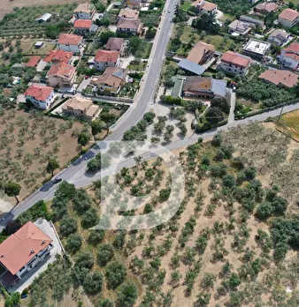 Foto annuncio 6