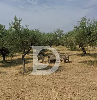Foto annuncio 9