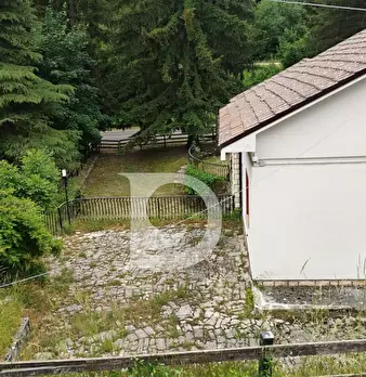 Foto annuncio 31