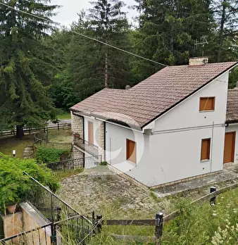 Foto annuncio 32