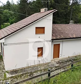 Foto annuncio 35
